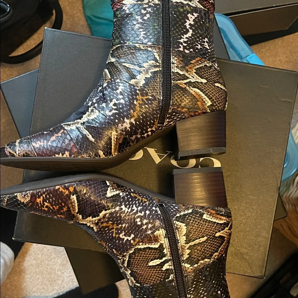 Coach Snake-Print Ankle Boots with Buckle - Black/Brown/Cream - Picture 6 of 8